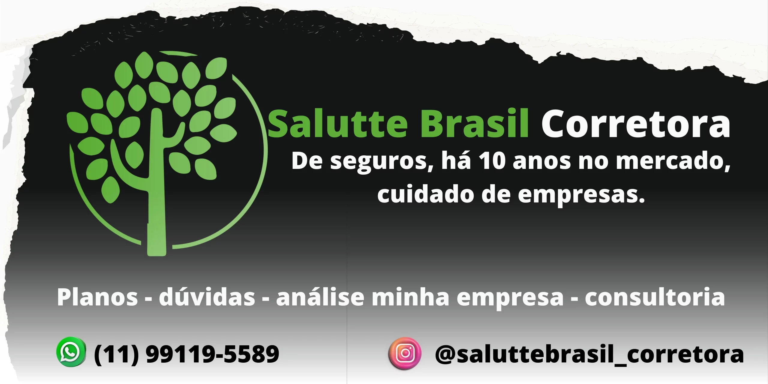 SalutteBrasil Corretora de Seguros